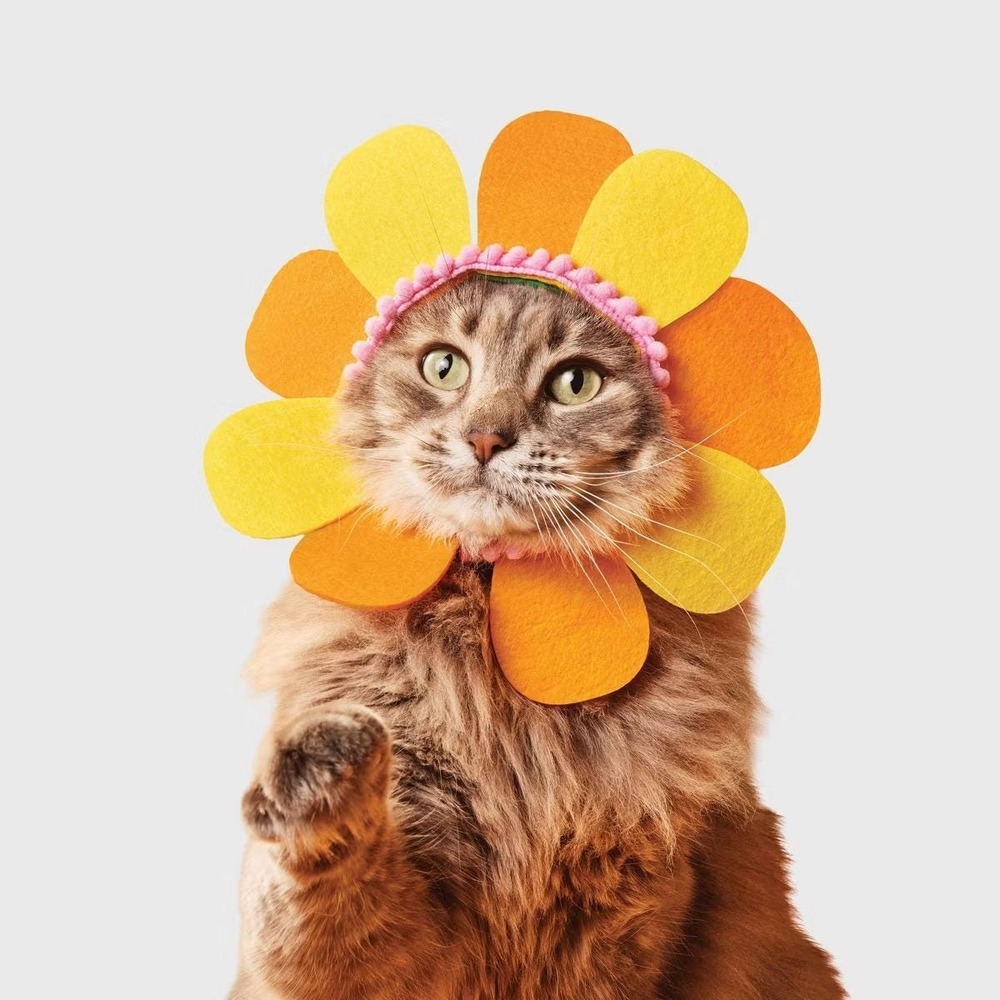 Boots & Barkley Flower‎ Cat Costume Headpiece Orange Pet Dress Up One Size NWT